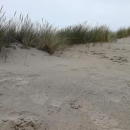 펜션 10 Person In Fjerritslev-by Traum 피에리트슬레브