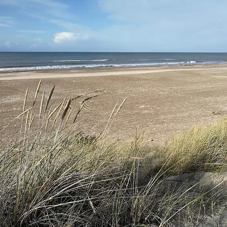 10 Person In Fjerritslev-by Traum 피에리트슬레브